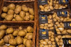 На Урале будут производить собственные семена картофеля