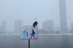 Вице-мэр Екатеринбурга объяснил, почему автобусы так плохо ходят на окраины и когда это кончится