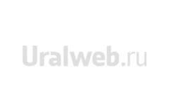 Найденные в Екатеринбурге страусята погибли