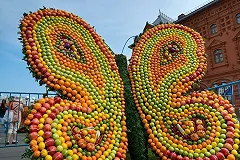 Фермеры Уральского региона везут продукцию на главную площадь Екатеринбурга