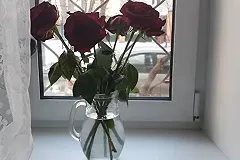 В Екатеринбурге врач-терапевт уговорила мужа перевести мошенникам 7,5 миллиона рублей