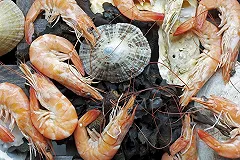 Медики: Морепродукты предотвращают потерю слуха у женщин