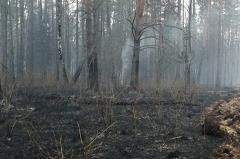 Свердловские туристы устроили пожар в природном парке, после чего сбежали