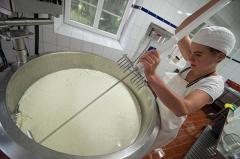Три молочных завода Свердловской области намерены производить сыры