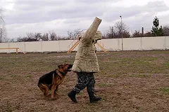 В Екатеринбурге ограбленная девушка преследовала разбойников до подъезда