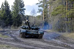 В Нижнем Тагиле танковый снаряд пробил крышу дома