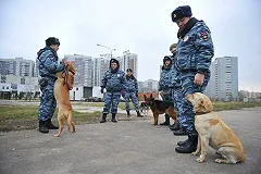 Поиски пропавшей полуторагодовалой девочки продолжаются в Свердловской области