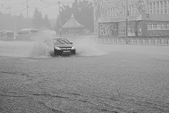 Жителей Москвы обвинили в нездоровой реакции на дождь