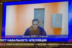 Мособлсуд оставил Навального под стражей до 15 февраля