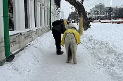 В уральской столице разработан новый экскурсионный машрут «Многонациональный Екатеринбург»