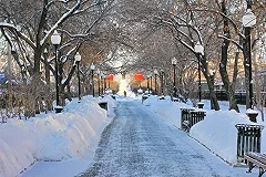 Мэрия Екатеринбурга пообещала за месяц навести порядок в городе