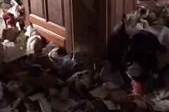 «Девочке-маугли» с вросшим в шею украшением нашли приемную маму