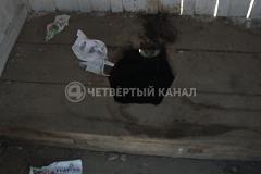 Свердловский подросток рассказал, зачем бросил 8-летнего ребёнка в яму туалета