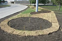 Ученые снова изучают екатеринбургскую грязь по просьбе мэрии