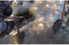 В ХМАО нашли тела женщин, провалившихся под лед вместе с ребенком