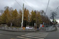 Близ Дендрария на 8 Марта может появиться огромный паркинг