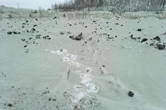 В Челябинске выпал зелёный снег