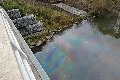 Неизвестные на Уктусе раскрасили Исеть в «цвета ЛГБТ»