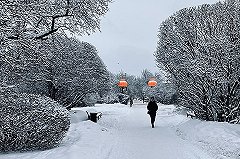 Синоптики рассказали, какая погода будет в Новогоднюю ночь