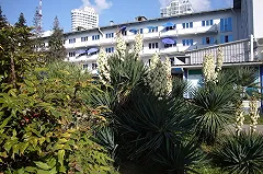 Президент Уральской ассоциации туризма рассказал о направлениях, которые были популярны этим летом