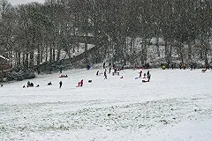 В Екатеринбурге ребёнок врезался в дерево, скатившись с горки