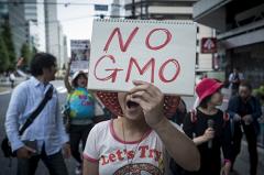 В России запретили производить ГМО-продукцию