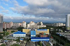 Коньков требует включить в состав Градсовета представителя ГИБДД