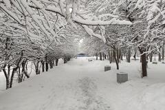 В Свердловской области ожидается ухудшение погоды: сильный ветер и снег с дождём
