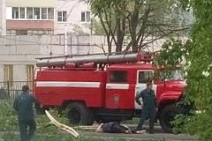 В Полевском администрацию засудили на сотни тысяч за гибель женщины из-за упавшего дерева