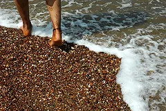 АТОР призвала отменить запрет на выдачу билетов туристам в день вылета