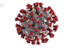 Британские учёные: пандемия коронавируса продлится как минимум еще пять лет