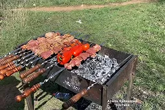 В Свердловской области назвали дату, после которой запретят жарить шашлыки