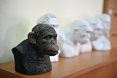 Полиция проверяет гимназию Екатеринбурга за поборы с родителей