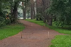 Сегодня вечером пройдет сбор подписей за приостановку работ в Зеленой роще