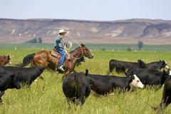 В Орегоне протестующие фермеры и ополчение захватили национальный парк