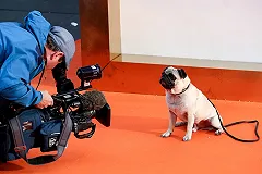 IMAX-премьера фильма «Kingsman: золотое кольцо» пройдет в кинотеатре Синема Парк