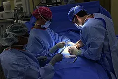 Врачи удалили у пациента почку весом семь килограммов