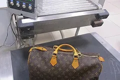 В Кольцово гражданка США пыталась ввезти «тяжелый люкс» на миллионы рублей (ФОТО)