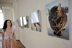 Ученые создали программу для определения авторства фотографий