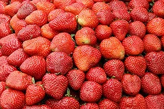 10 продуктов для счастья