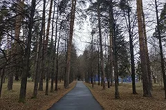 Общественники требуют скорректировать планы по реконструкции сквера на Опалихинской