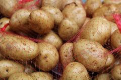 Власти Ростовской области обратились в УФАС после видео с очередями за «дешевым картофелем»