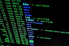 В Екатеринбурге на рекламных экранах появились антивоенные высказывания