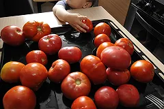 Помидоры в РФ за неделю подорожали почти на 10%