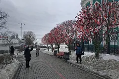 «Грязь в душе-2». Благодаткова объяснила, зачем Екатеринбургу грунтовые газоны