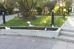 В мэрии Екатеринбурга заявили, что неизвестные заказали разрушение сквера за Оперным театром