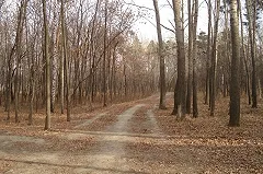 Екатеринбургские депутаты готовы вступиться за парк возле стадиона РТИ