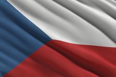 В парламент Чехии войдут партия мультимиллиардера, демократы и пираты