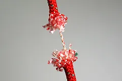 Свердловское ГУ МВД: аресты за репосты помогли победить «группы смерти»