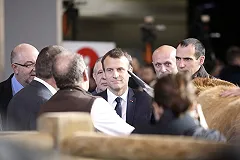 Париж вслед за Лондоном готовит санкции против России